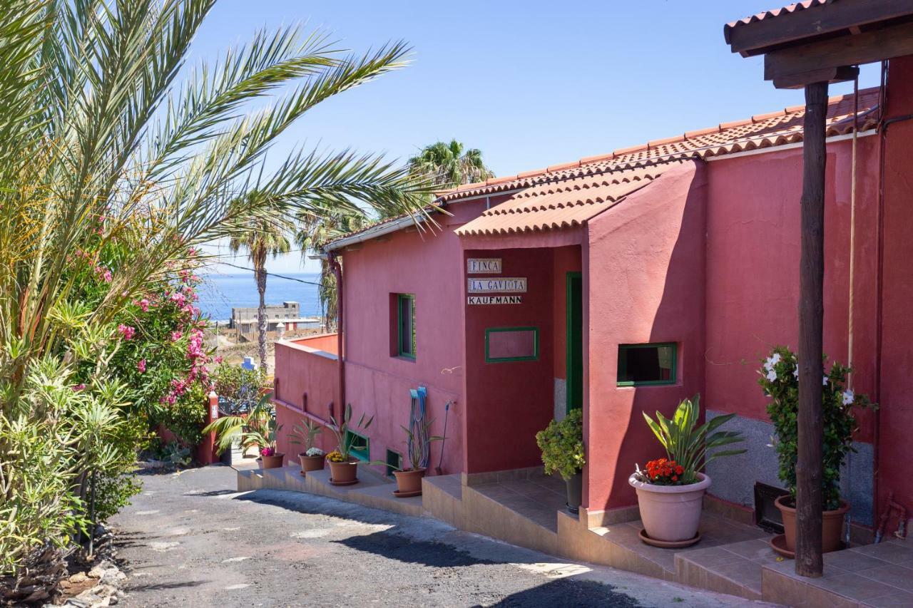 Finca La Gaviota - Las Flores Icod De Los Vinos Εξωτερικό φωτογραφία